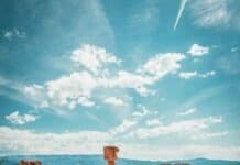 Navajo Loop Trail Bryce Canyon National Park