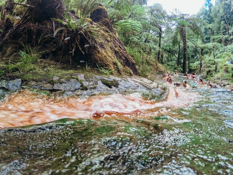 RIBEIRA GRANDE - lower hot springs of the Caldeira Velha hot springs 