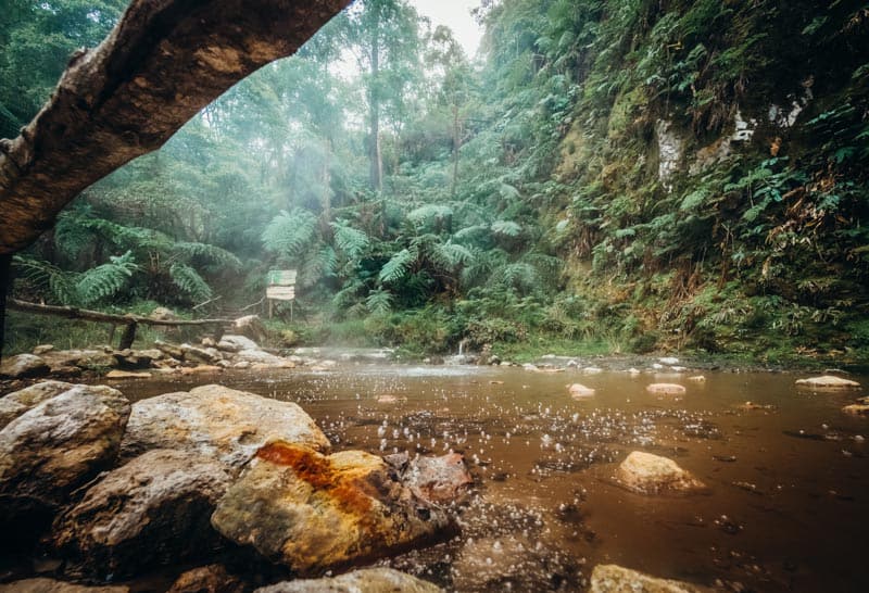 Natural Park Caldeira Velha near Ribeira Grande