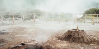 Cozida das Furnas