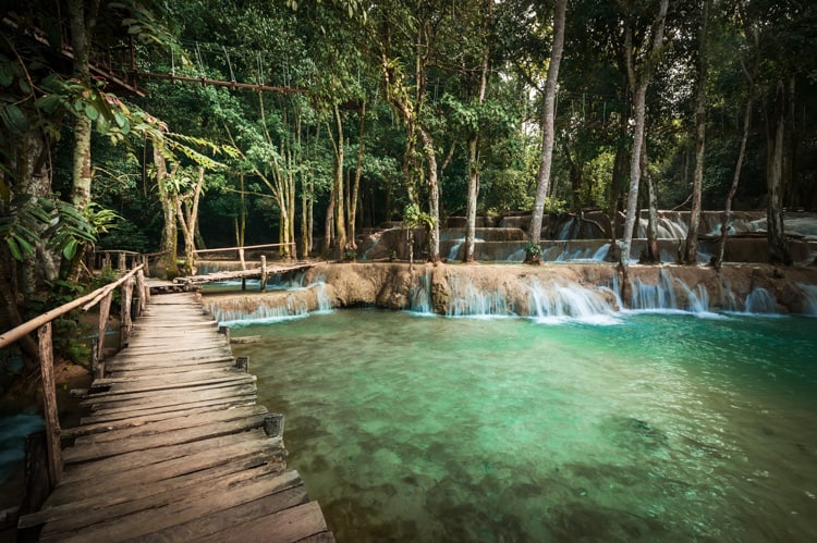 Tropical Rain Forest Jungle With Kuang Si Cascade Waterfall.