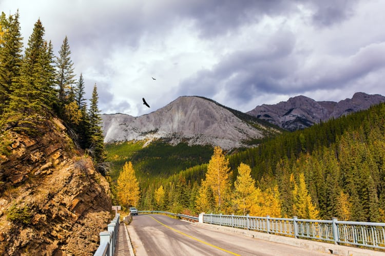 Beautiful views driving to the Jasper Hot Springs.