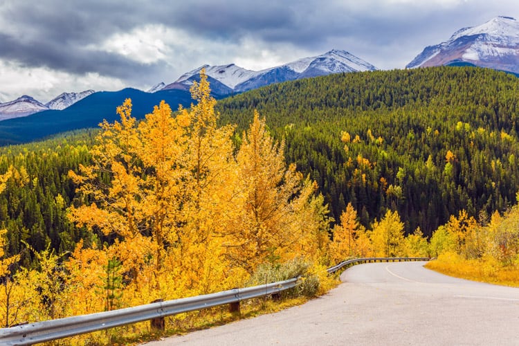 Beautiful views driving to the Miette Hot Springs.