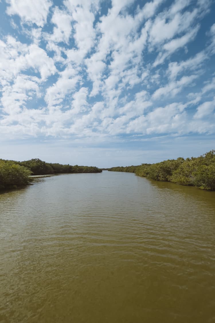 Bowman's beach river