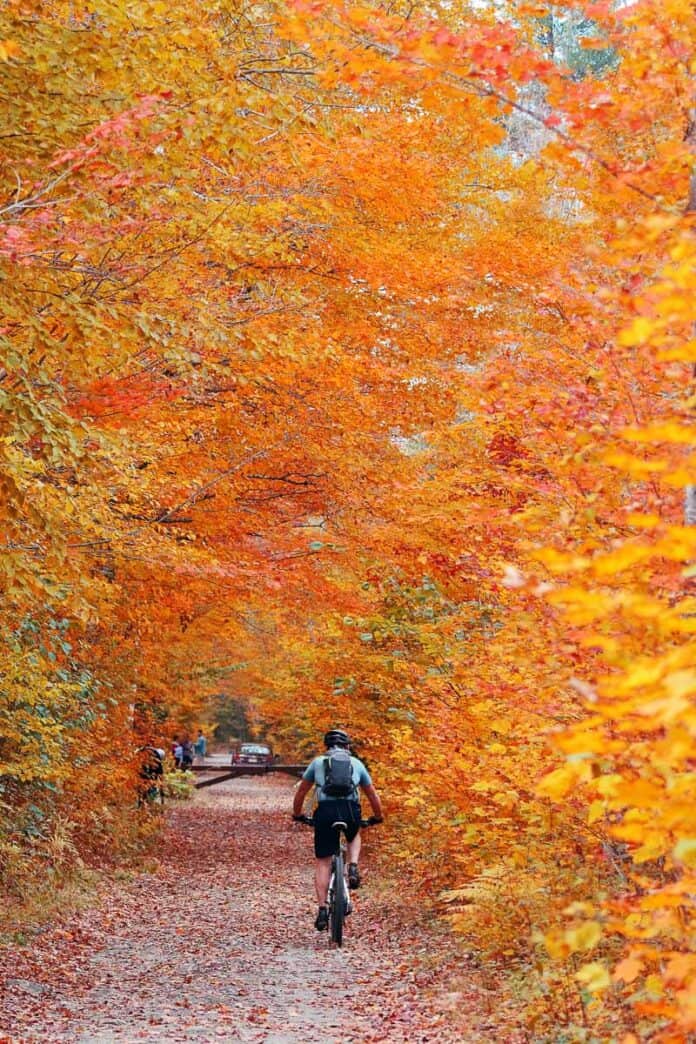 Vermont fall foliage