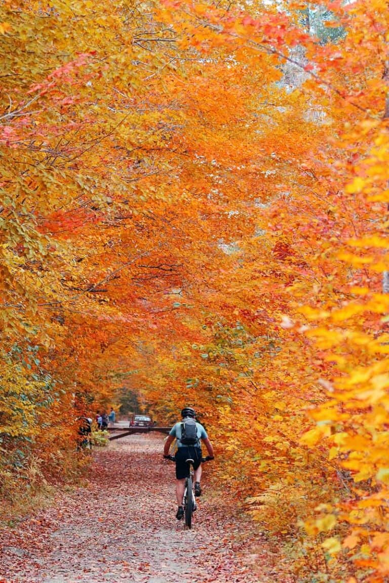 Vermont fall foliage