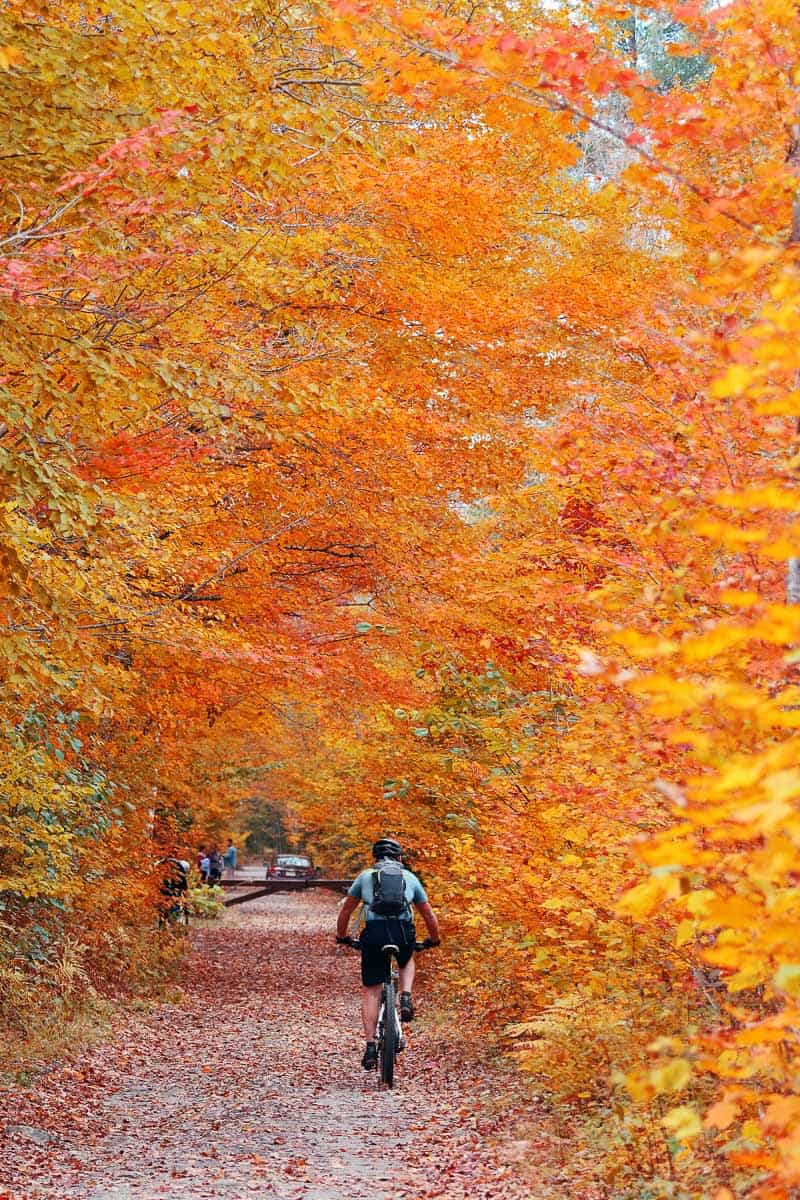 Vermont fall foliage on a Stowe bike tour