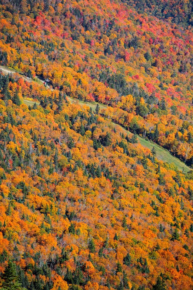 Mount Mansfield Gondola