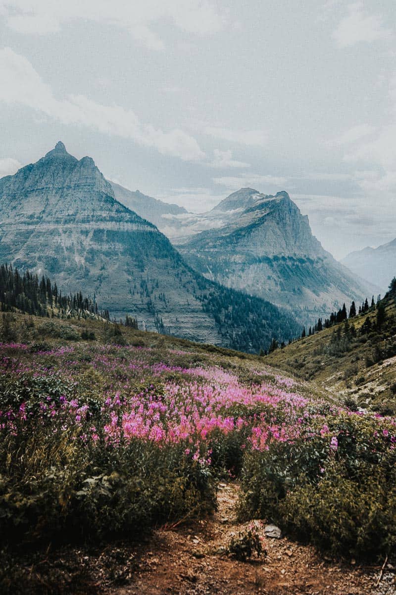 Going to the Sun road in Glacier National Park Montana