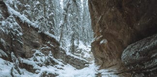 Johnston Canyon Lower Falls in the Winter