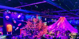 Area 15 Las Vegas Nevada