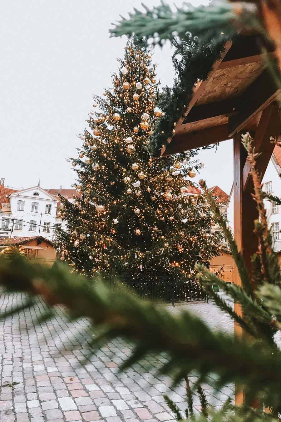 Tallinn Christmas Market tree