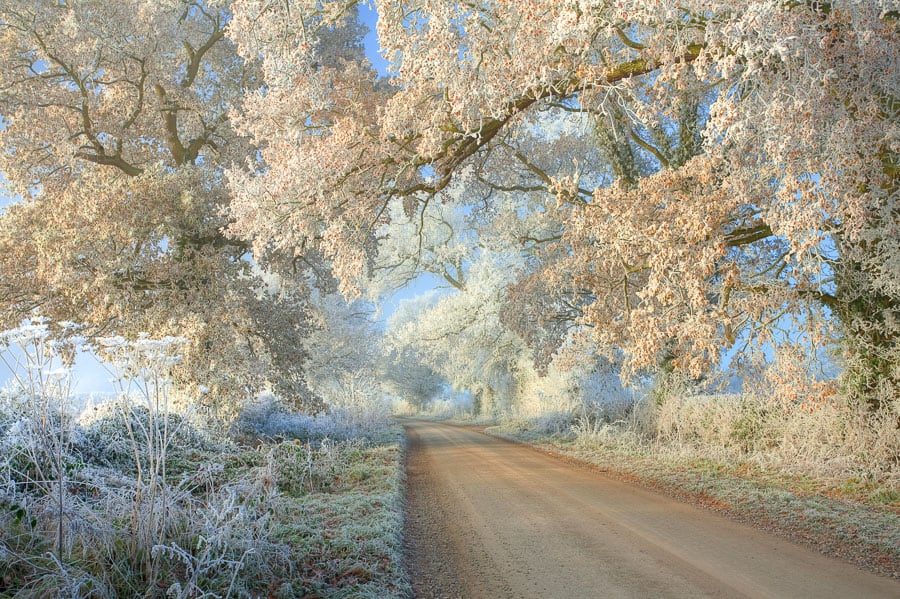 Hoar Frost in the Cotswolds