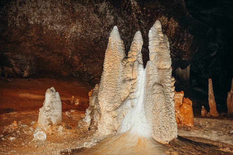 Hoq cave. Yemen, Socotra island