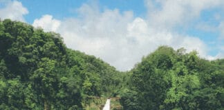 Akaka Falls Big Island Hawaii