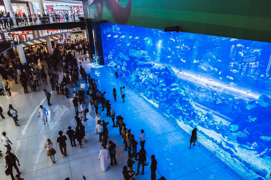 Dubai Mall Aquarium