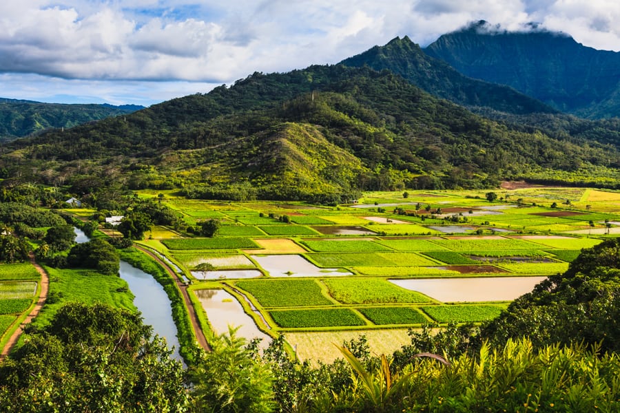 Hanalei Valley lookout in Kauai