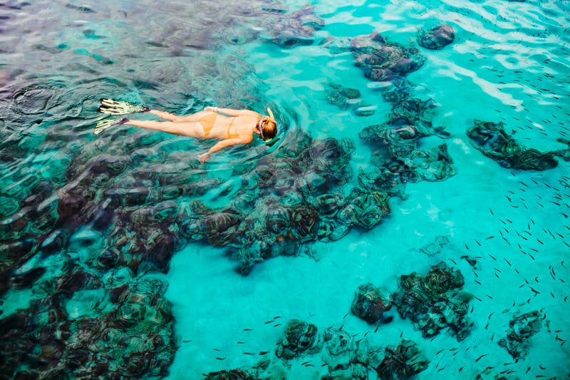 Hanauma Bay Snorkeling Oahu