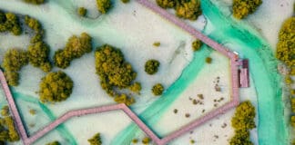 Al Jubail mangrove park in Abu Dhabi