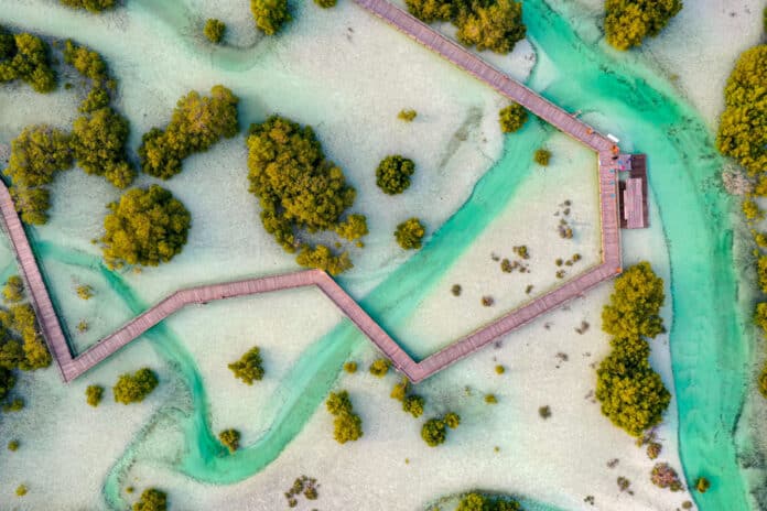 Al Jubail mangrove park in Abu Dhabi