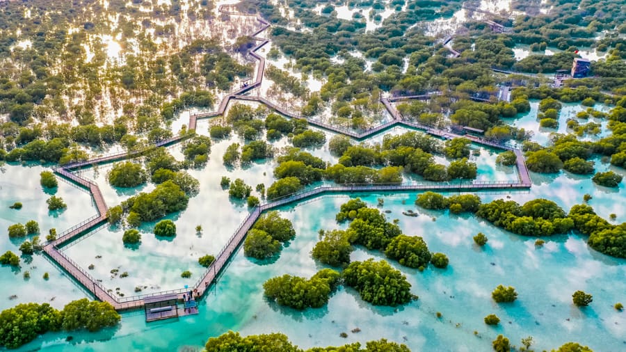 Al Jubail Mangrove in Yas Island Abu Dhabi