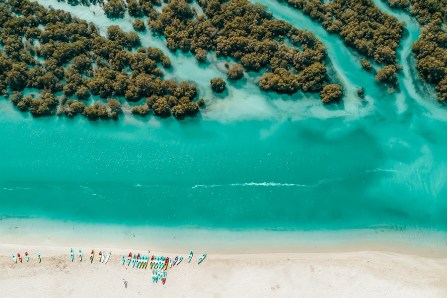 Jubail Mangrove Park Kayaking