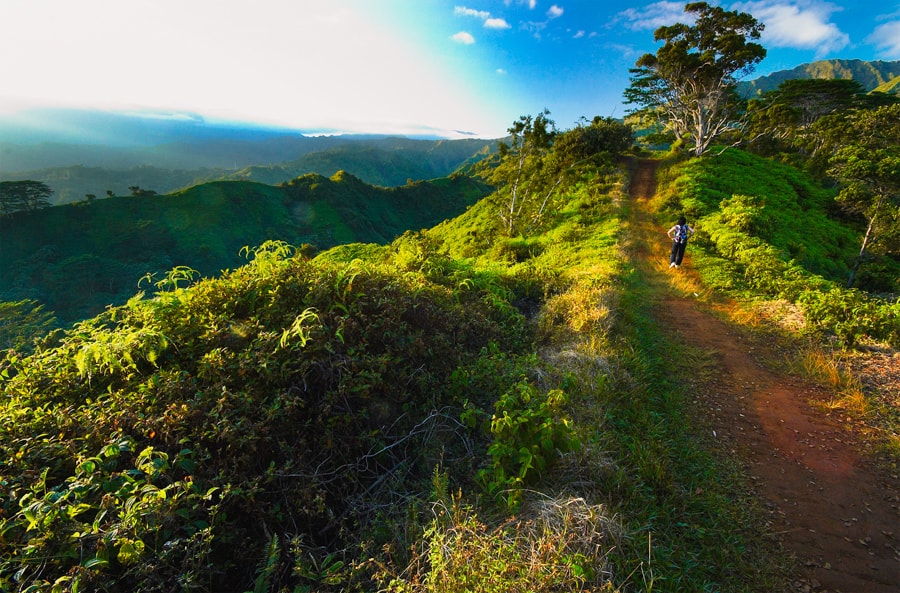 Kuilau trail in Kauai Hawaii