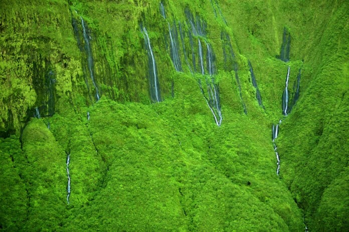 Wall of Tears Maui Waterfall