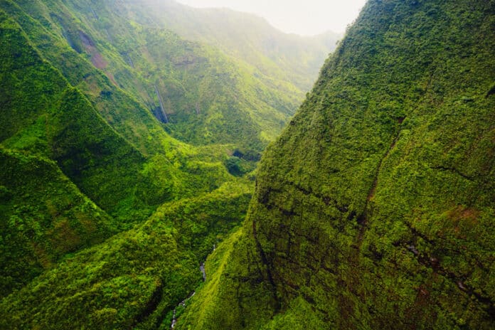 Mount Waialeale in Kauai Hawaii