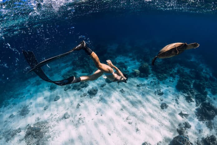 Turtle Canyon Best snorkeling in Oahu