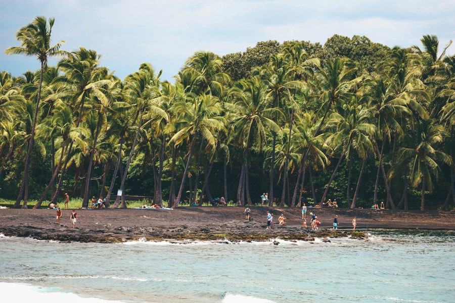 Punaluu Black Sand Beach Hawaii