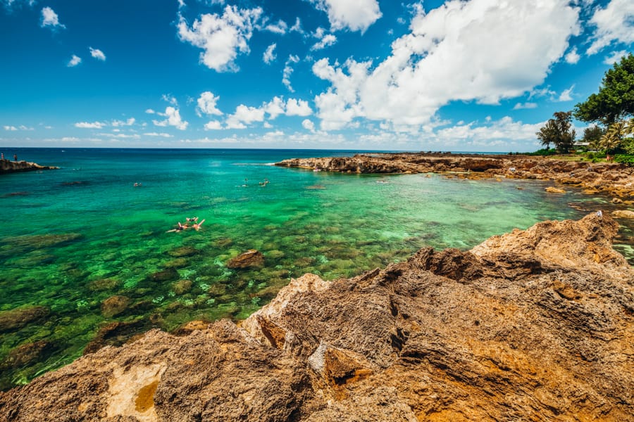 Shark's Cove snorkeling spot 