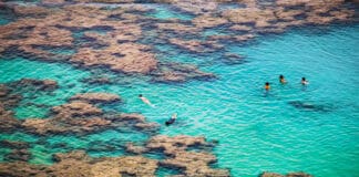 Snorkeling coral Reef At Hanauma Bay, Oahu, Hawaii