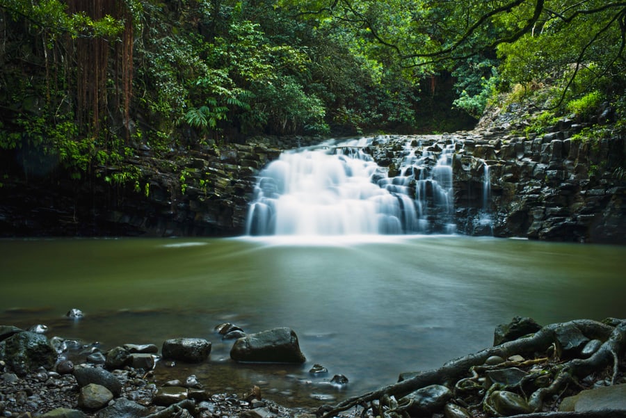 Hike to Twin falls Maui