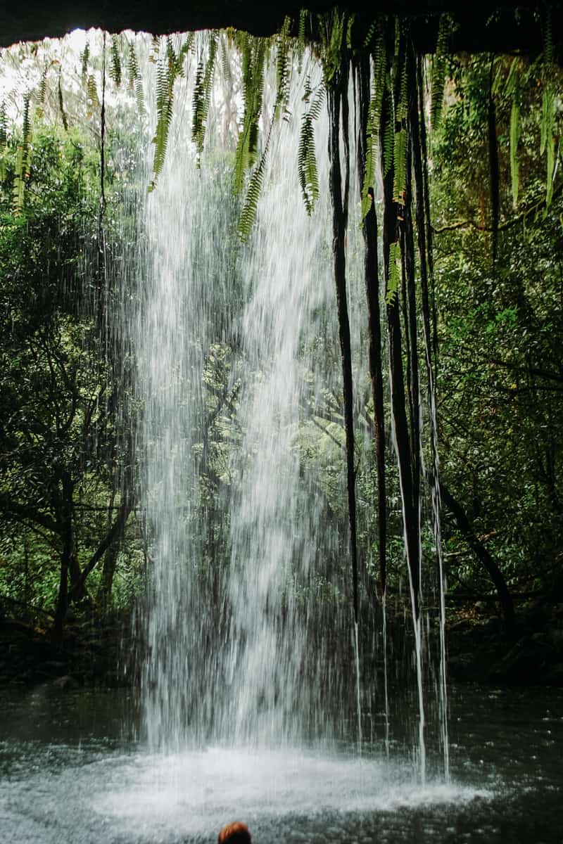 Twin falls Maui