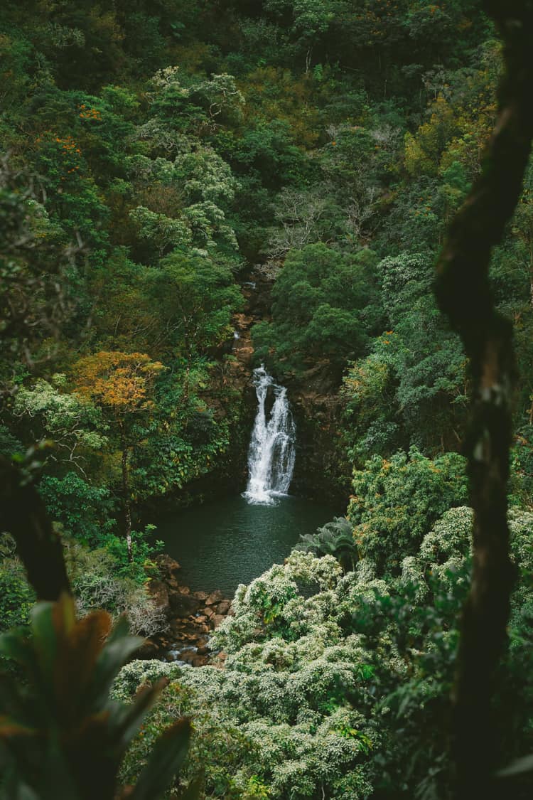 Upper Puohokamoa Falls in Maui Hawaii