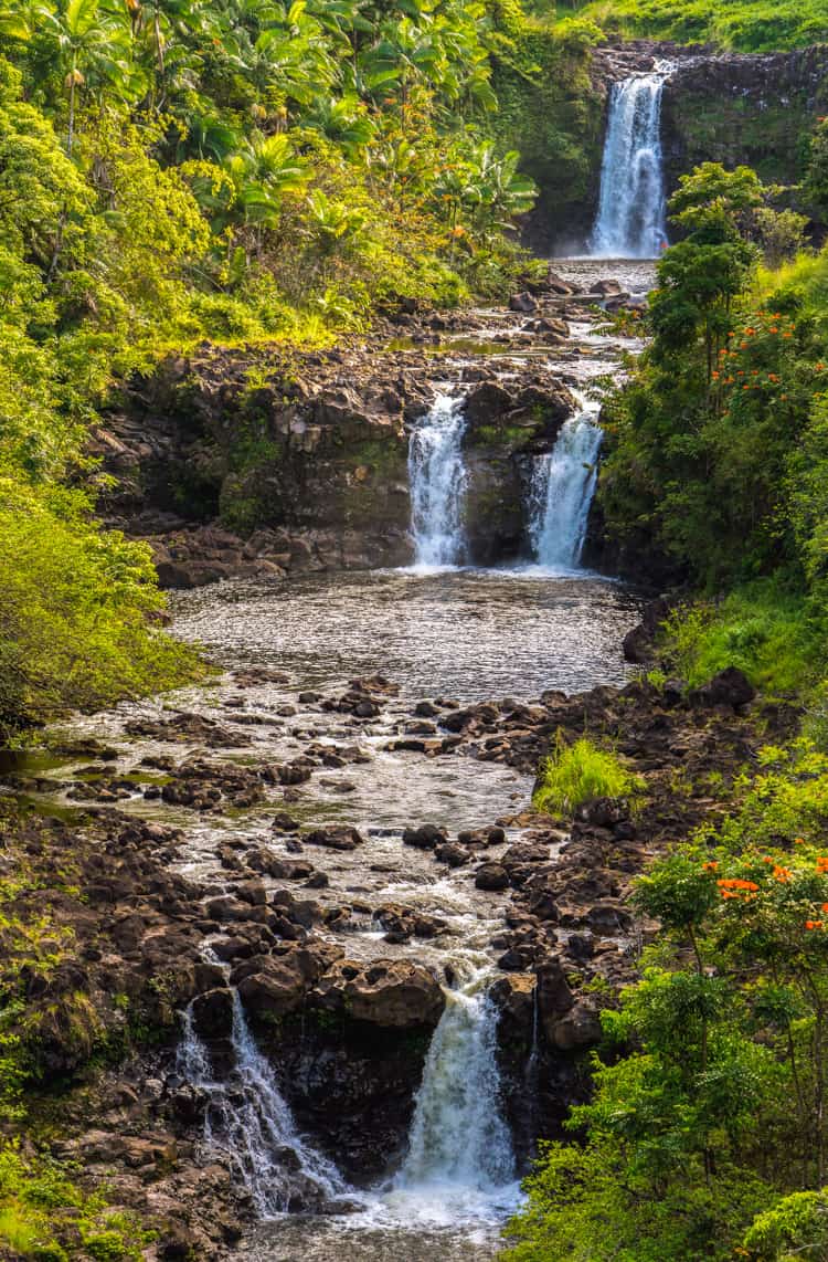 Umauma Falls on the Big Island of Hawaii