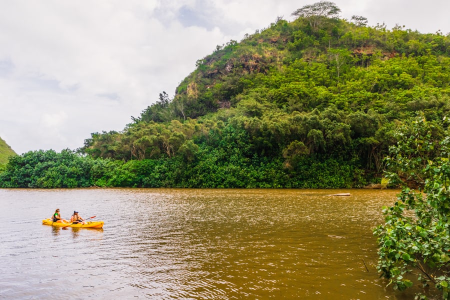 Wailua River Kayak in Kauai