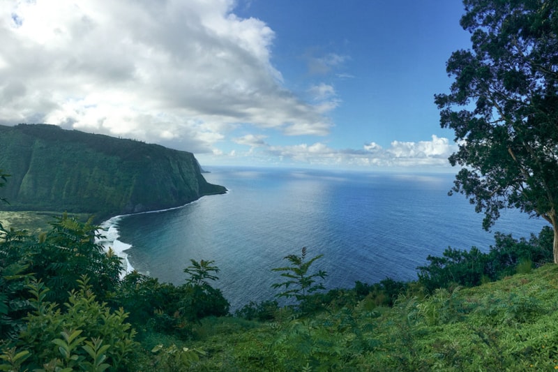 Waipio Valley lookout not he Big Island in Hawaii.