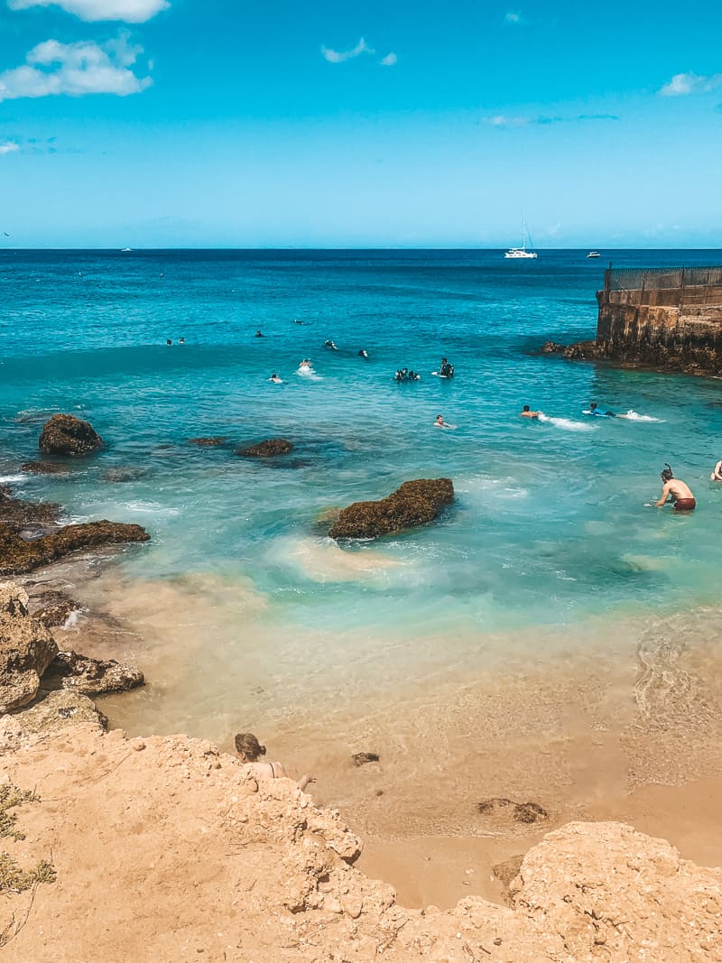 Electric Beach Oahu snorkeling