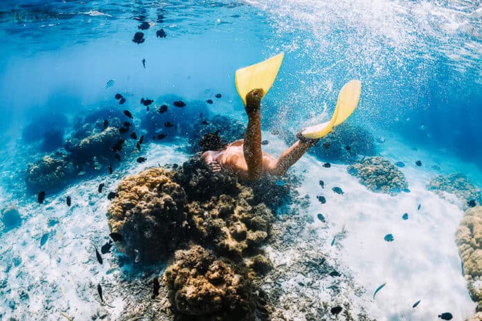 Electric Beach snorkeling Oahu