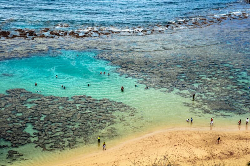 Snorkeling in Hanauma Bay in Hawaii at low tide.