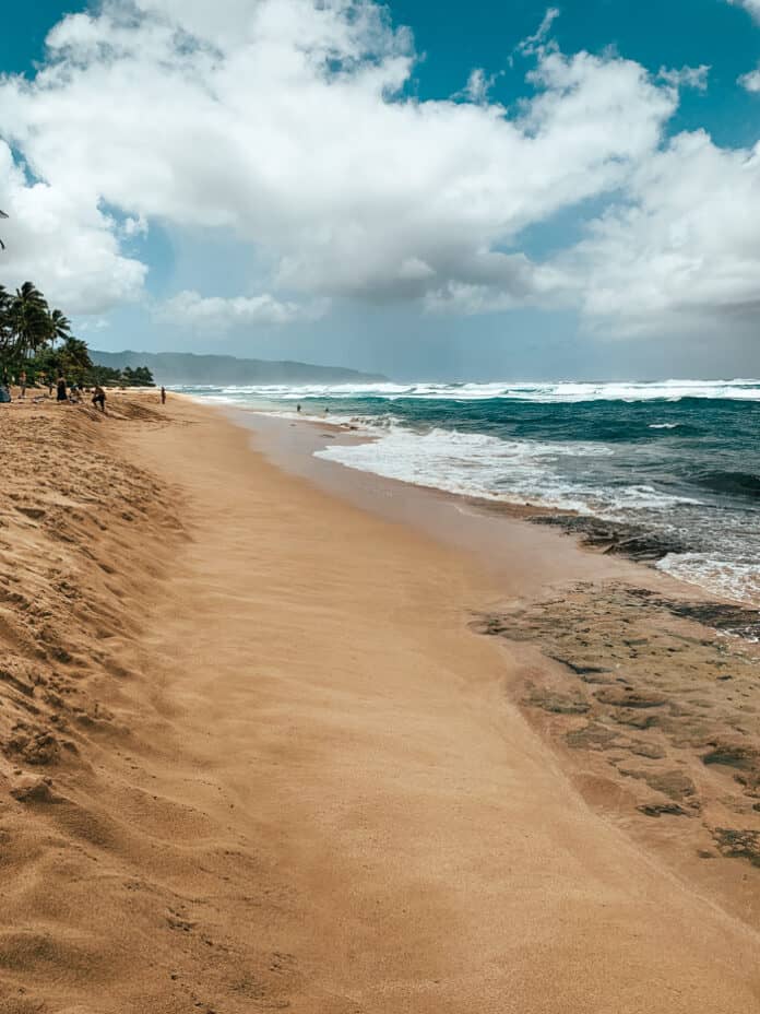 Laniakea Beach