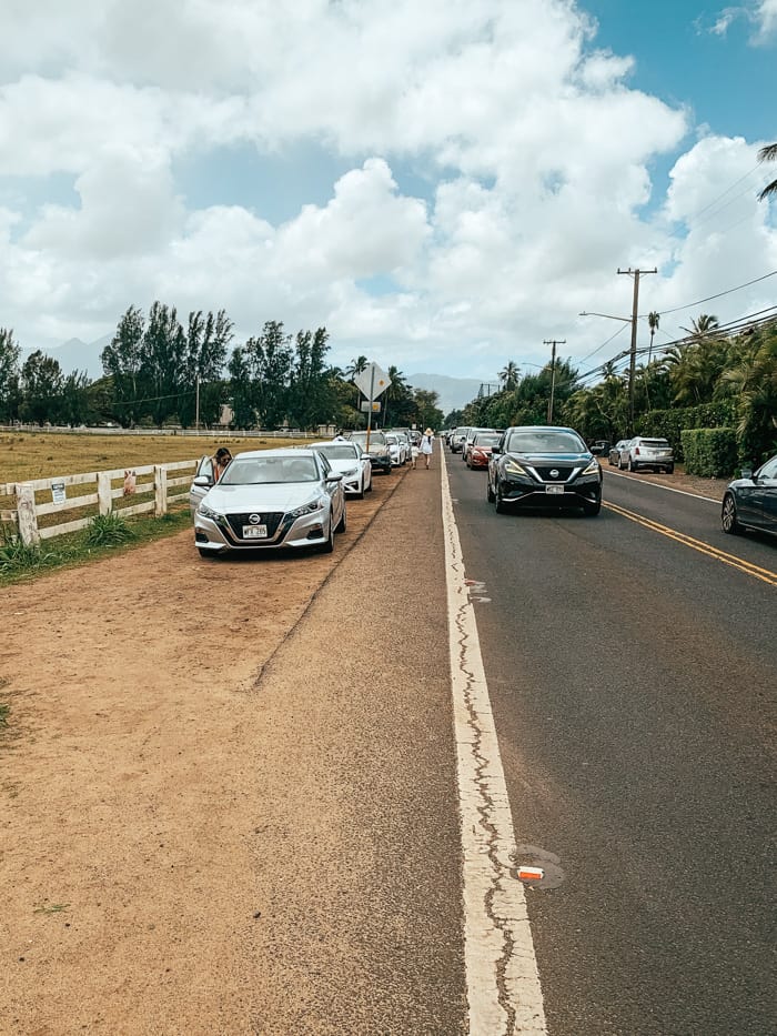 Laniakea Beach Parking in Oahu Hawaii