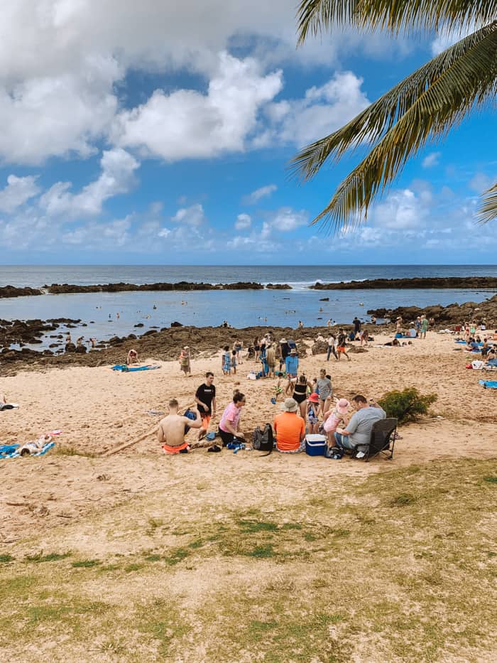 Sharks Cove Oahu snorkeling
