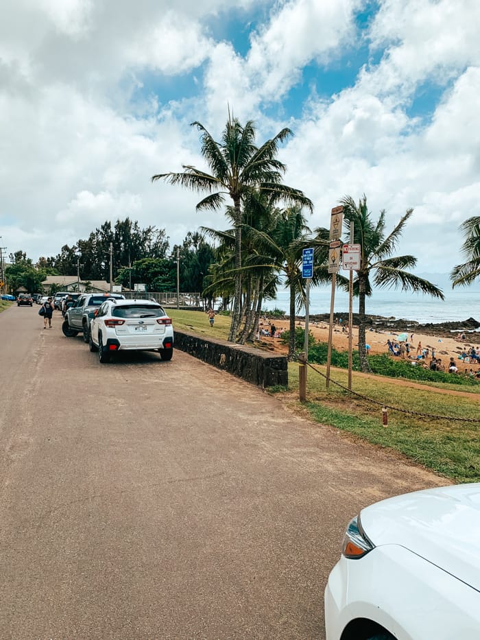 Sharks cove parking