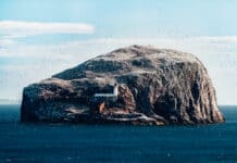Bass Rock, Scotland, United Kingdom