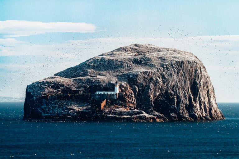 Bass Rock, Scotland, United Kingdom