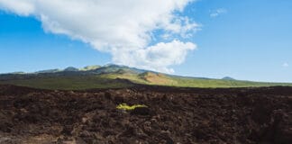 Hoapili trail and lava fields in South Maui