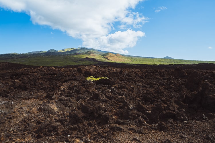 Hoapili trail and lava fields in South Maui